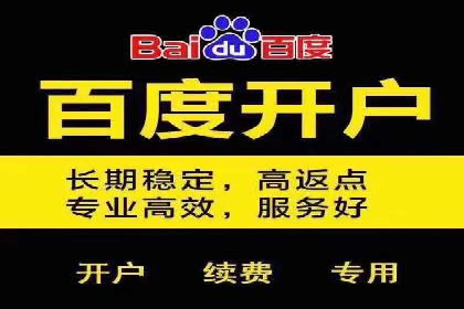 竞价排名案例：低成本获客策略